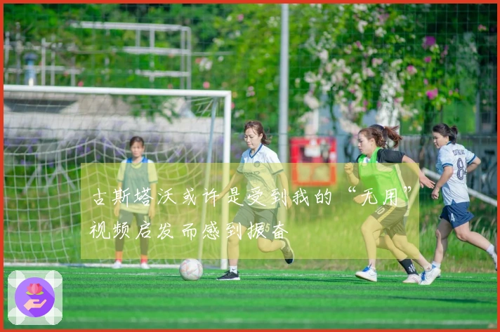 古斯塔沃或许是受到我的“无用”视频启发而感到振奋
